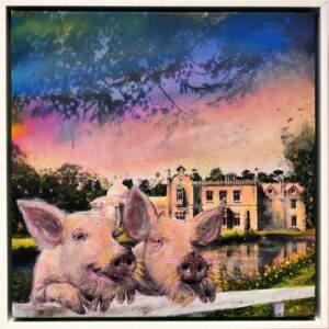 PIG-RUDDERY