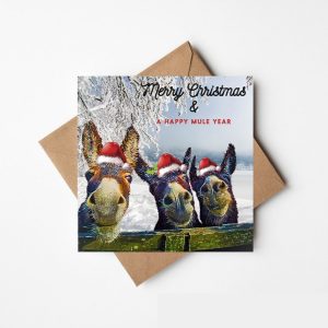 Merry Christmas & A Happy Mule Year - Ireland - The Greeting Card