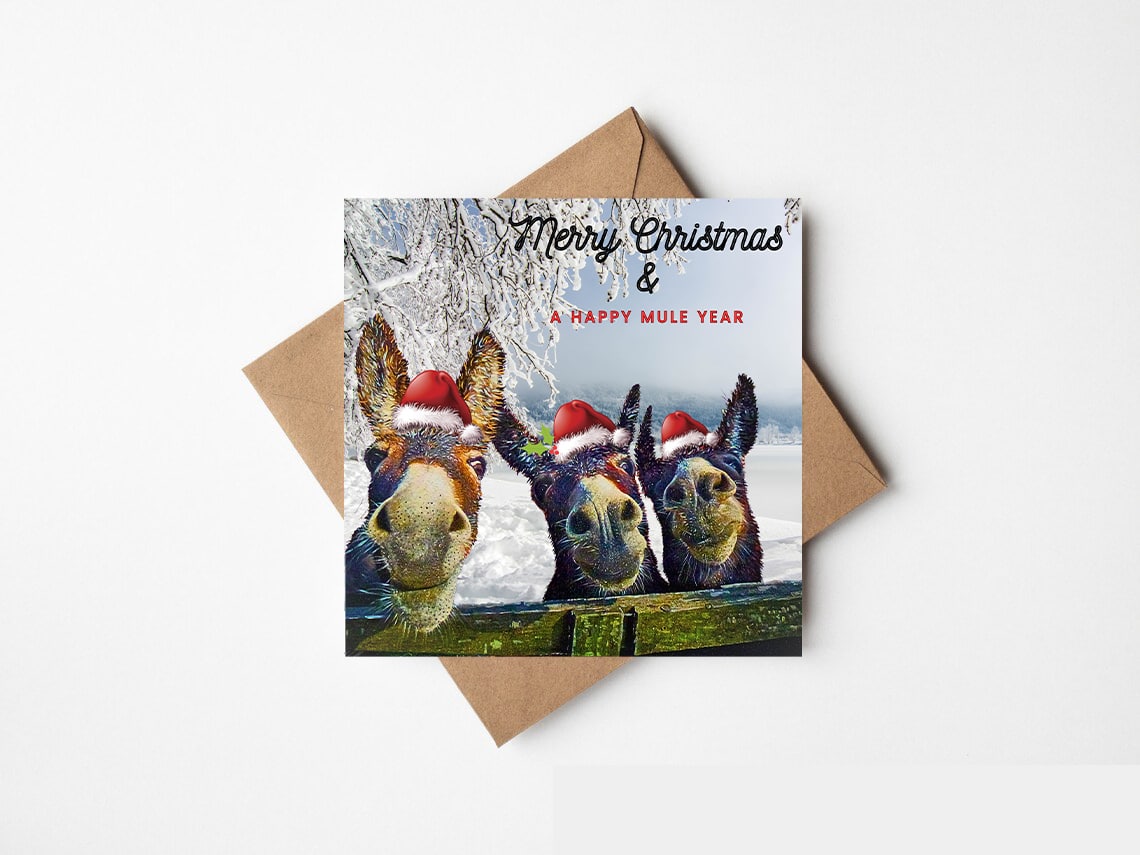 Merry Christmas & A Happy Mule Year - Ireland - The Greeting Card