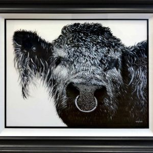THE BULL McCABE