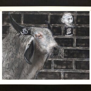 SACRED COW