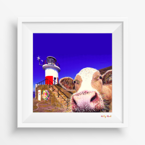Moo Selfie @ Wicklow Head Lighthouse - Co. Wicklow