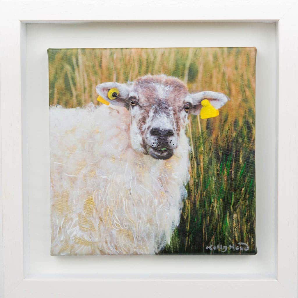 Sheila The Sheep 🔴