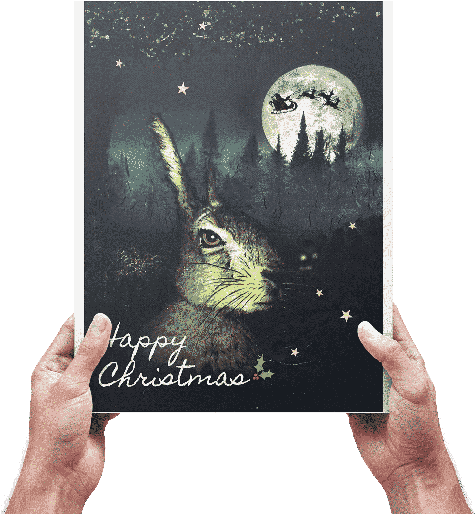 The Christmas Hare -The Greeting Card