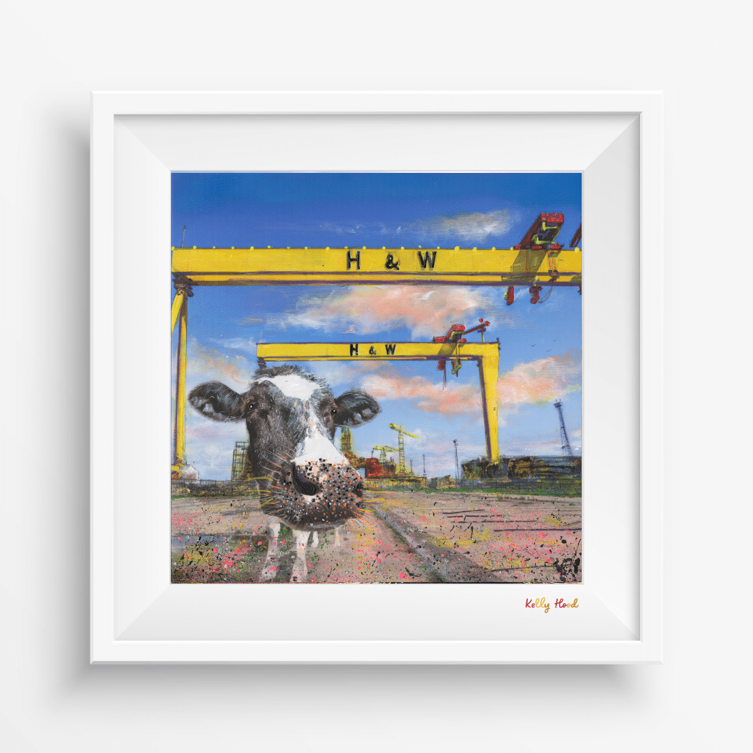 Moo Selfie@ Belfast – Co. Antrim