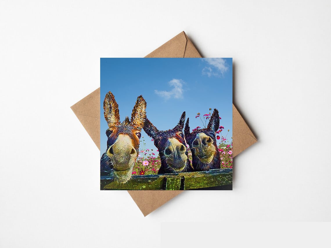 The Three Amigos - The Greeting Card